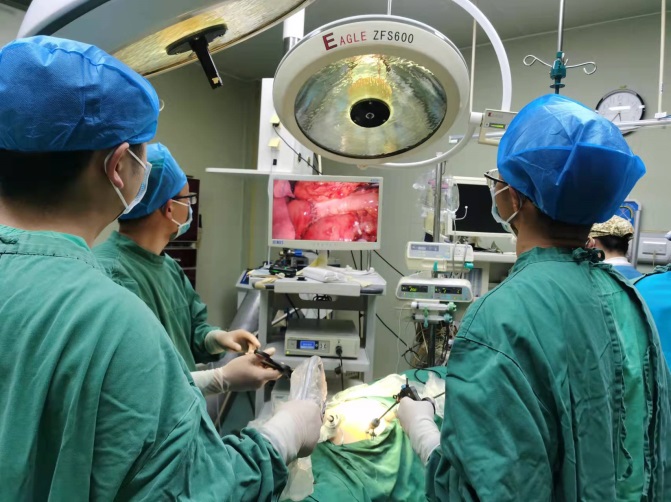 绿春县人民医院成功开展首例腹腔镜下输尿管