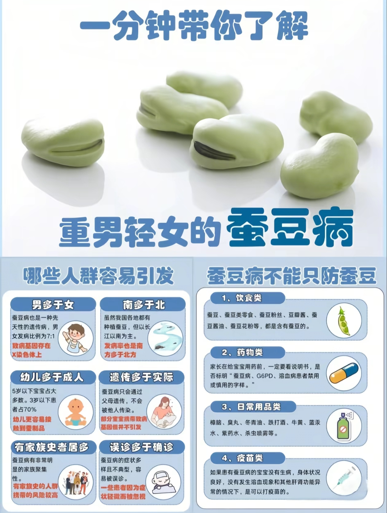 【科普】守护“蚕豆宝宝”